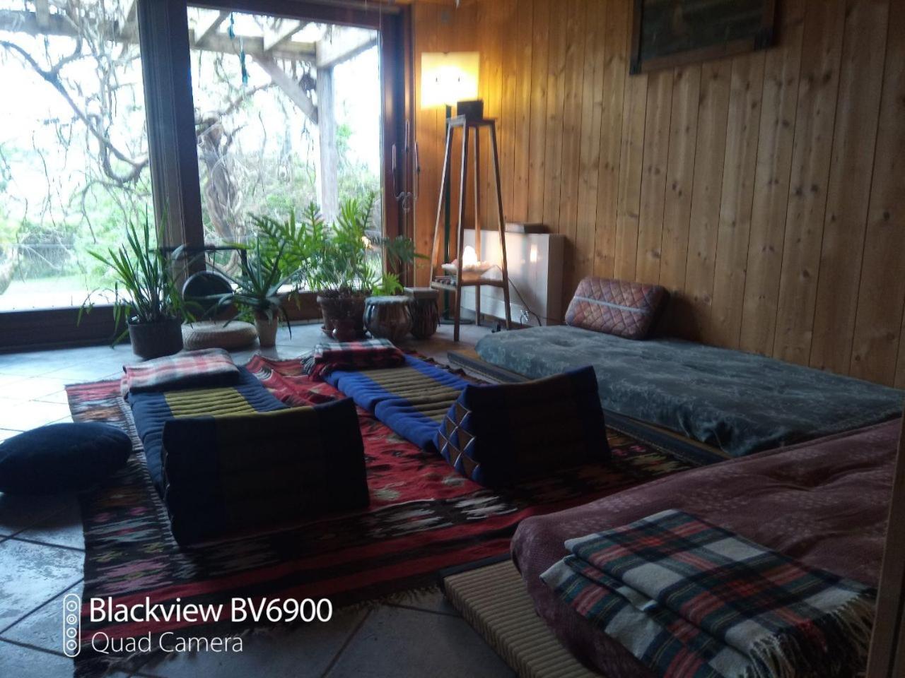 Bioagriturismo Vegan Campo Di Cielo 세시오마지오레 외부 사진