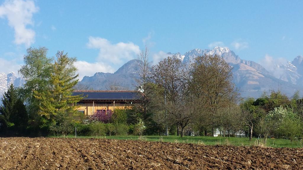 Bioagriturismo Vegan Campo Di Cielo 세시오마지오레 외부 사진
