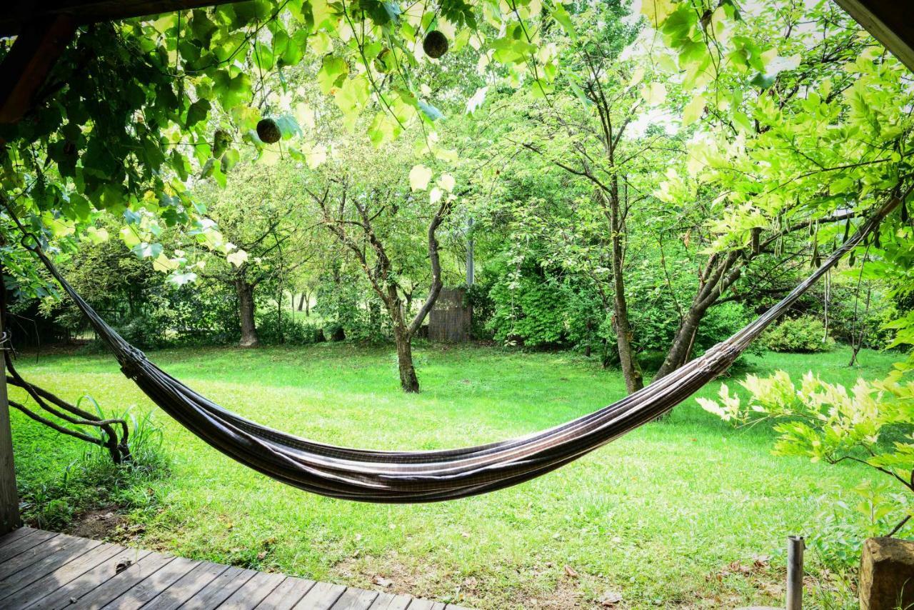 Bioagriturismo Vegan Campo Di Cielo 세시오마지오레 외부 사진