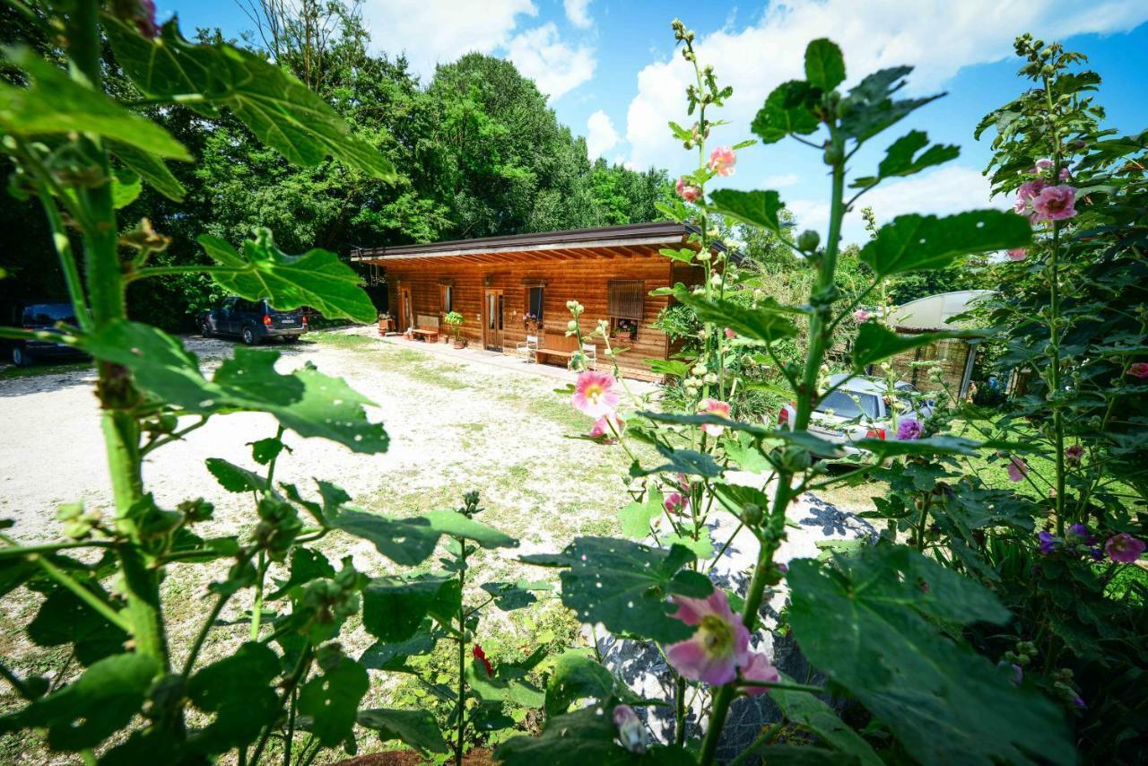 Bioagriturismo Vegan Campo Di Cielo 세시오마지오레 외부 사진